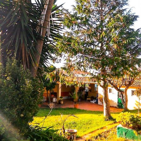 Lugar Saloio Sintra Bed & Breakfast Mem Martins Eksteriør bilde