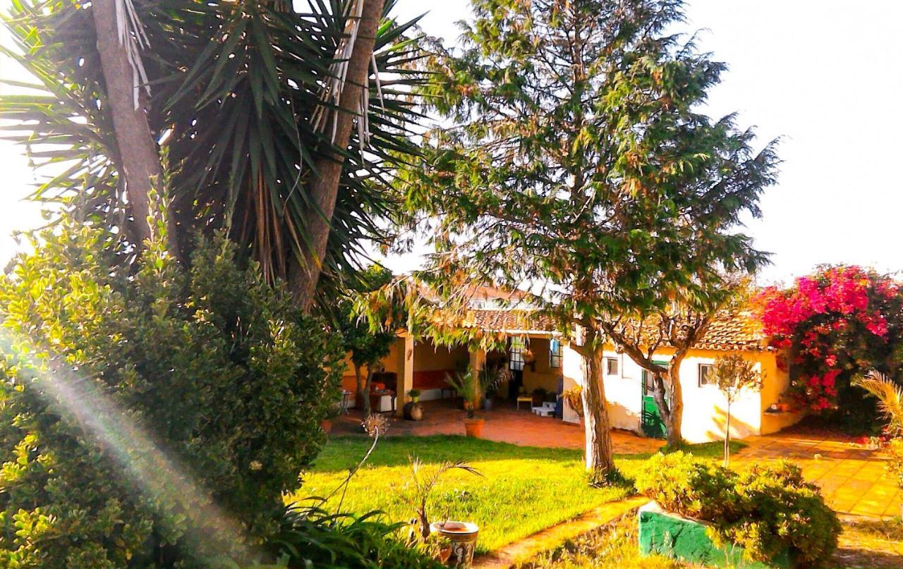 Lugar Saloio Sintra Bed & Breakfast Mem Martins Eksteriør bilde